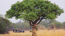 Johannesburg Like a Local: Customized Private Tour