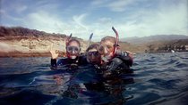 Snorkelling safari in a turtle area