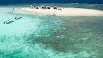 Paradise Island & Mangroves Tour