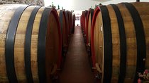 Degustazione di vini a Montepulciano, visitando Siena, in Toscana da Firenze