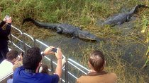 Central Florida Everglades Airboat Tour from Orlando