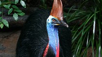 Wildlife Habitat Port Douglas