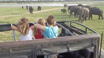 Kaudulla National Park - Private Safari from Habarana