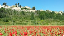 Half day private tour for 2-3 person