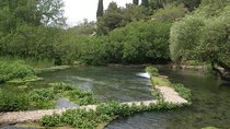 Tel Dan and Baniyas National Parks Private Tour 