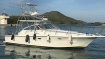 Half Day Big Game Fishing private charter