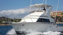 Half-full Day Sport Fishing Tour from Flamingo Beach