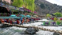 Marrakech to Atlas Mountains: Shared Small-Group Tour