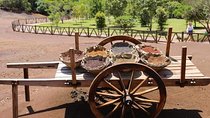 Mauritius South West Tour - Full Day