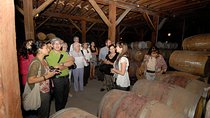 Semi-Private Premium Wine Tour at Santa Rita Winery