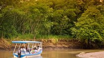 Palo Verde Wildlife Tour from Playa Hermosa-Coco Beach