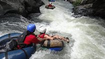 Combo Adventure: Canopy Tour, Tubing and Hot Springs Coco Beach