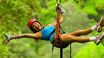 Zipline Canopy Tour from Guanacaste