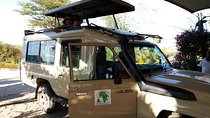 Nairobi orphanage half day tour