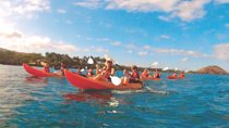 Makena Turtle Town Eco Adventure in Maui