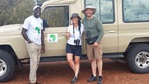 Private 11 Day Safari: Kenya & Tanzania