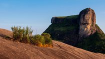Best Private Tijuca Forest Half-day Hike