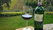 Siena and Chianti Wineries Excursion by Private Luxury Van from Florence