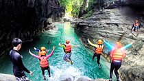 Full Day Canyoning and Whaleshark Adventure from Cebu City or Mactan Area