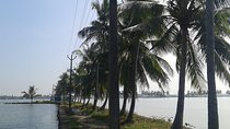Kochi Village Life Experience tour - The Real Tour of Kochi !
