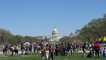 Comedy Walks© Washington D.C.