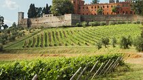 Small-Group Chianti Trip with Wine Tasting from Siena