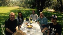 Bull Breeding Farm: Guided Half-Day Tour from Seville