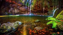 "25 Fountains" Walk / Lost In The Beautiful Forest