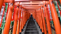 Haneda Layover tour of 5hours with local Japanese guide by car