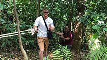 Temple and Jungle Trekking tour with Lunch at Farm-to-Table