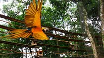 3 Days and 2 Nights 3 Stars Hotel Iguassu Falls - Private Tours