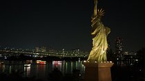 Tailored Tokyo city tour based on request