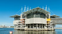 Lisbon Oceanarium and Belém and Modern Lisbon bus Hop On Hop Off Tours 48h