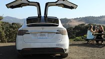 Private Santa Barbara Winery and Estate Tour in Tesla SUV