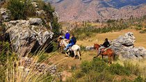 Half Day - City Horse Traditional Riding Tour Group Service