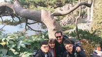Jeju Island Taxi Tour : South Day Tour
