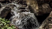 Ourika Valley : Atlas Mountains Day Trip from Marrakech