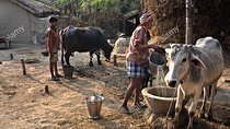 Village Tour