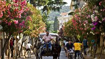 Princes Islands Tour from istanbul