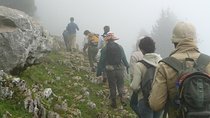 Rishikesh To Kunjapuri Trek