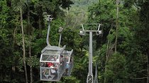 Veragua Rainforest and Tortuguero Canals Shore Excursion