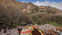Private day trip to the High Atlas from Marrakech,