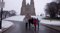 County Armagh Private Day Tour From Belfast Navan Fort Celts