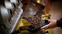 Britt Coffee Tour from San José
