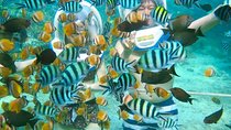 Bali Ocean Walker