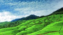 Highlights Of Sri Lanka | 5 Nights 6 Days
