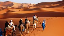 Marrakech to Merzouga small group shared Desert tour