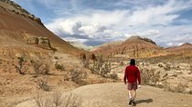 Altyn Emel National Park, Private tour, 2 days from Almaty