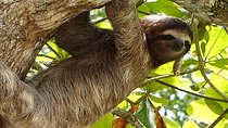Exotic 9-Day Costa Rica Adventure: Volcano, Rainforest & Beaches