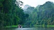 8 Days - San Jose - Tortuguero - Cahuita